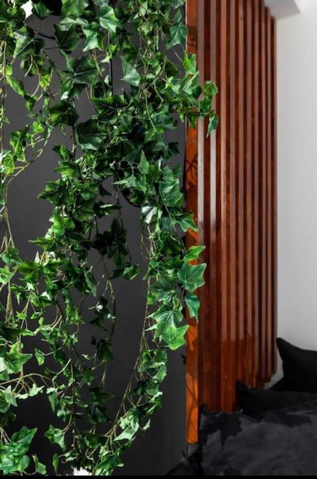 Novel Acropolis Apartment Афины Экстерьер фото