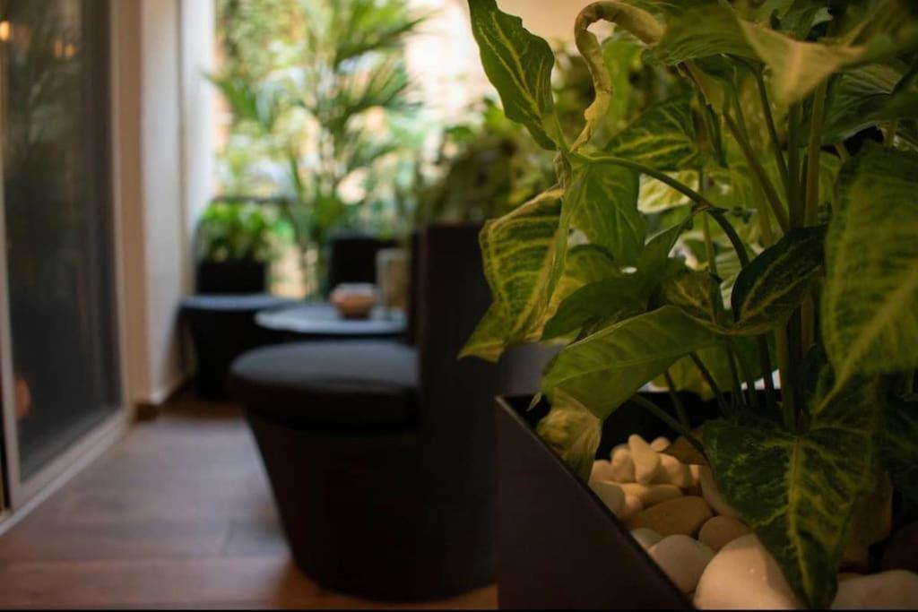 Novel Acropolis Apartment Афины Экстерьер фото